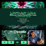 Woodland Walk: Discover Useful Plants and Trees