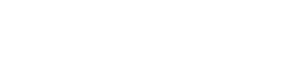 Wildcard Wilderness