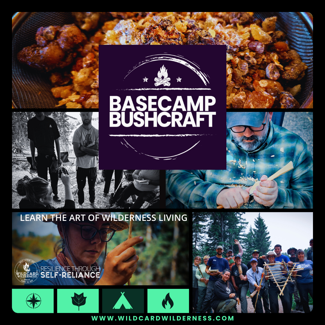 Basecamp Bushcraft