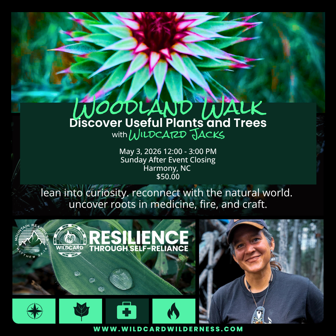 Woodland Walk: Discover Useful Plants and Trees