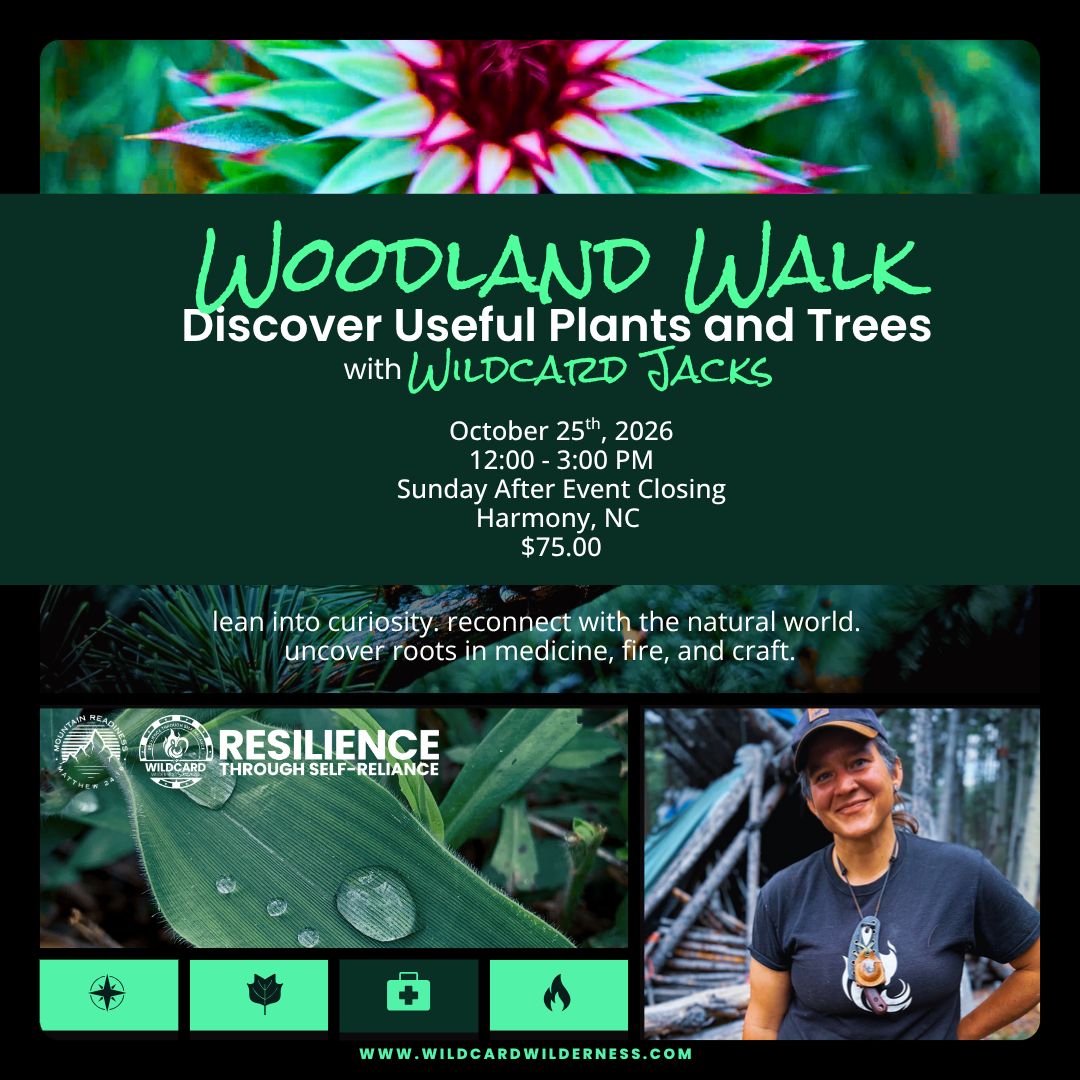 Woodland Walk: Discover Useful Plants and Trees